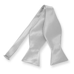Ungebundene Fliege Silber