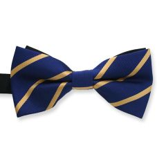 Fliege blau gold gestreift