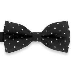 schwarze gepunktete Fliege