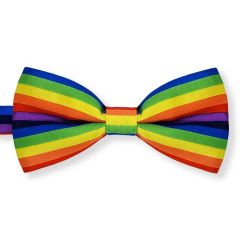 Fliege mit Regenbogen Print