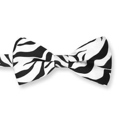 Fliege Schwarz Weiß Zebra