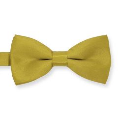 goldene Kinderfliege