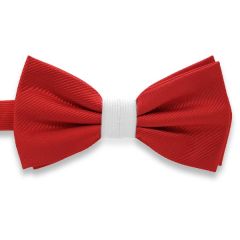 Fliege rot weiss